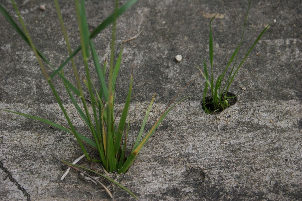 сила природы4.JPG